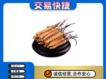 东莞麻涌镇回收冬虫夏草多少钱每克
